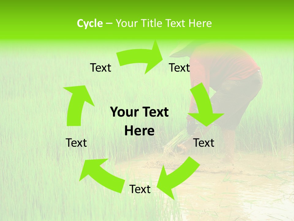 Job Thai Workplace PowerPoint Template