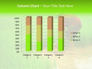 Job Thai Workplace PowerPoint Template