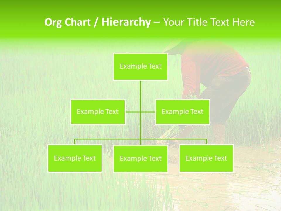 Job Thai Workplace PowerPoint Template