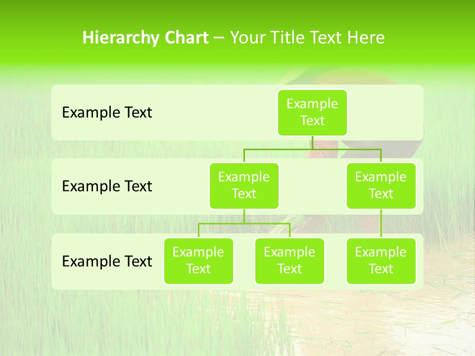 Job Thai Workplace PowerPoint Template