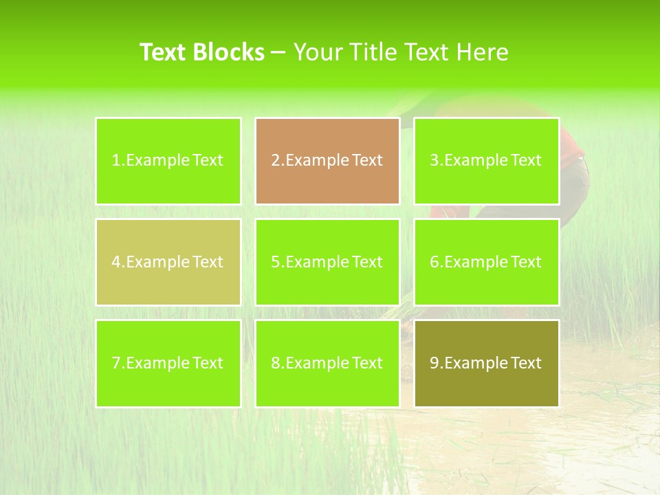 Job Thai Workplace PowerPoint Template