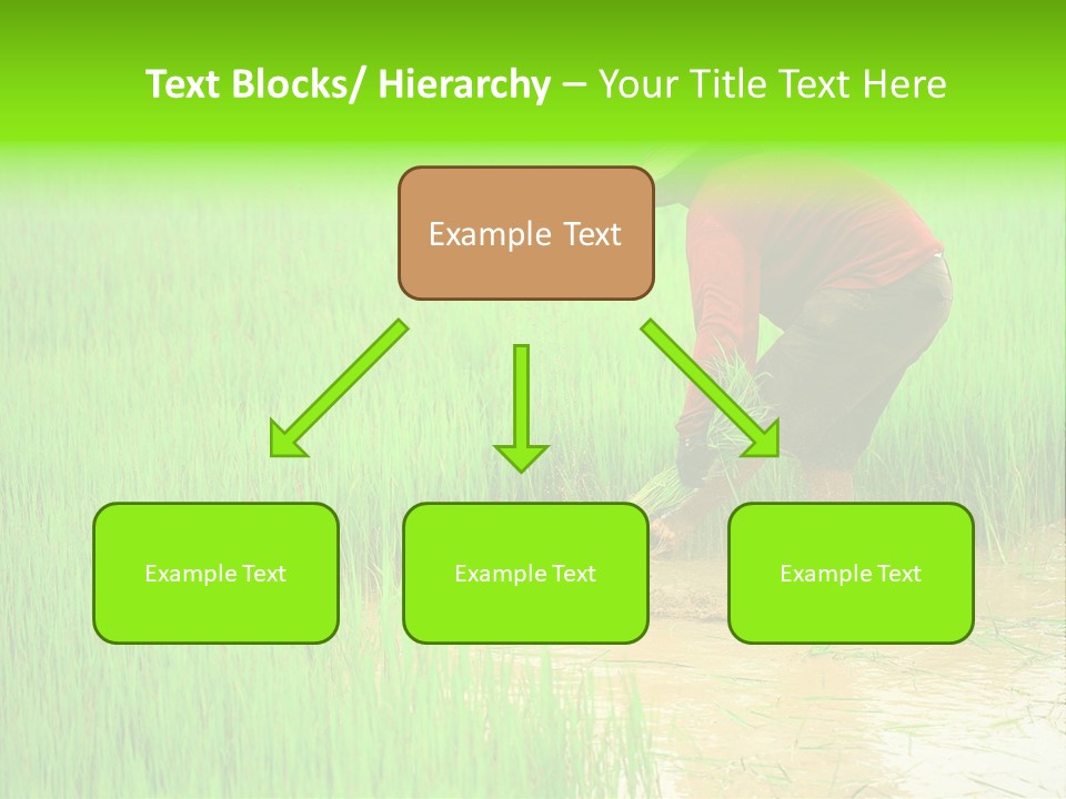 Job Thai Workplace PowerPoint Template