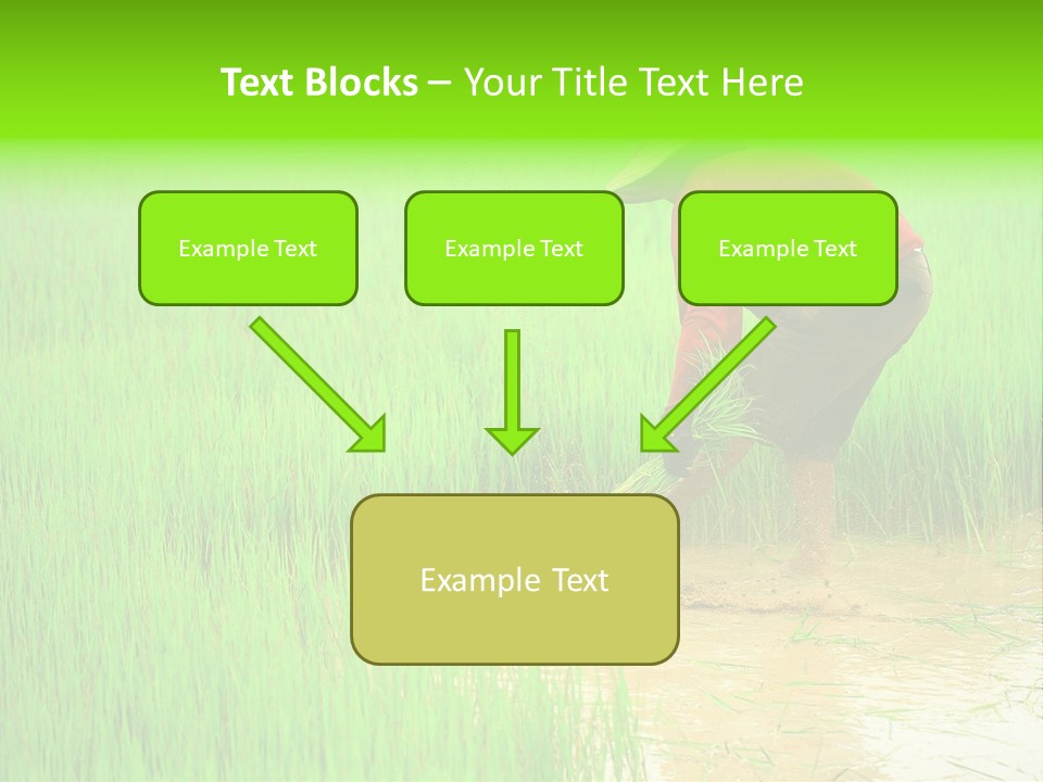 Job Thai Workplace PowerPoint Template
