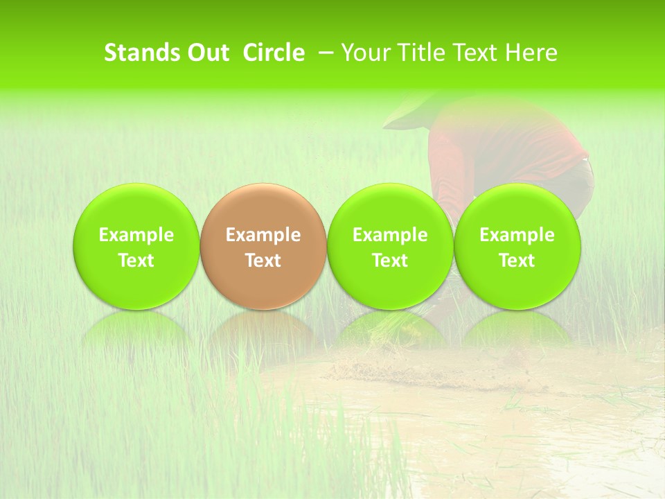 Job Thai Workplace PowerPoint Template