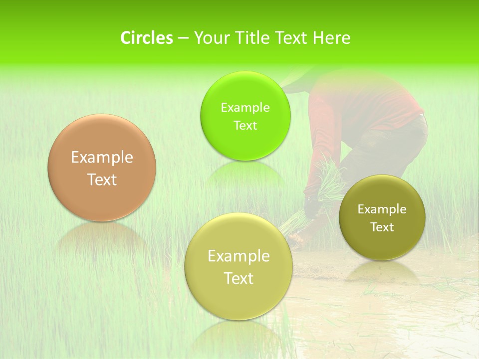 Job Thai Workplace PowerPoint Template