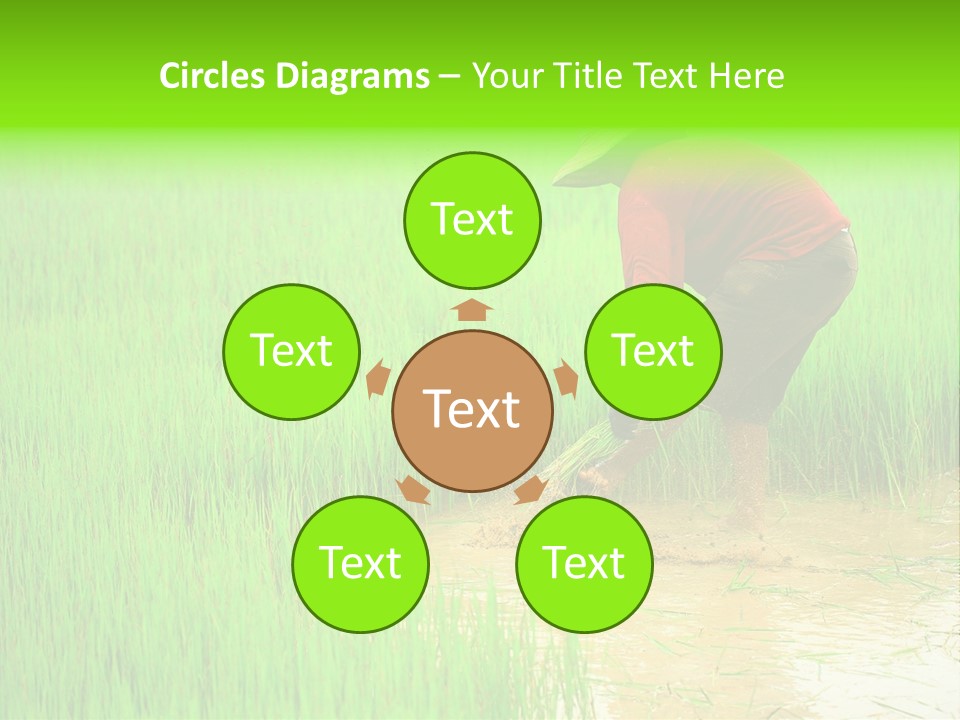 Job Thai Workplace PowerPoint Template