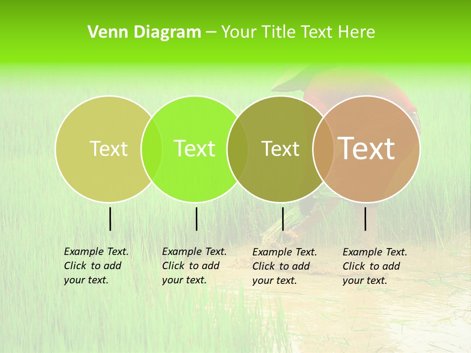 Job Thai Workplace PowerPoint Template