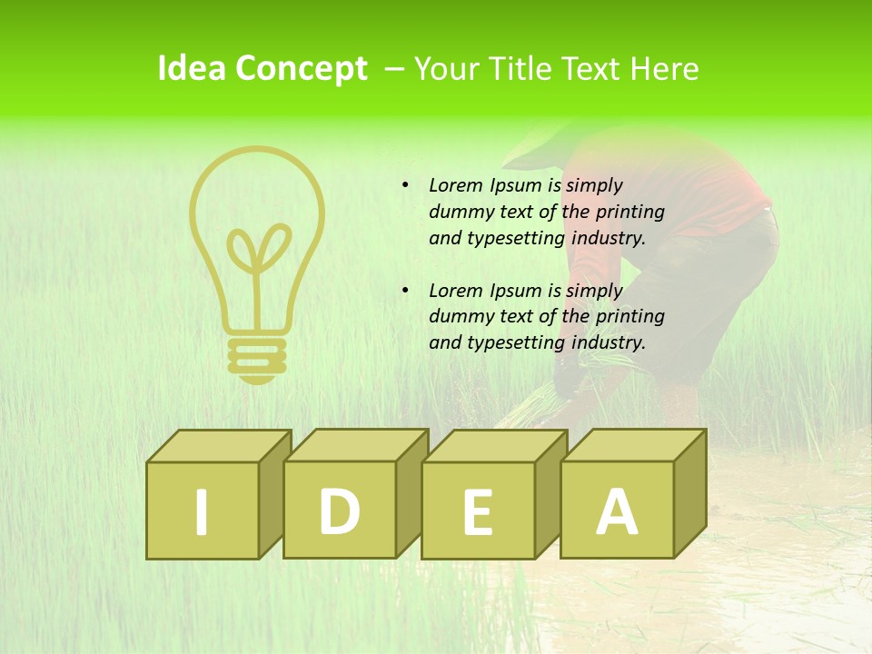 Job Thai Workplace PowerPoint Template