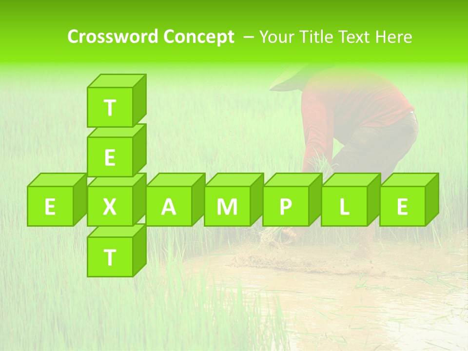 Job Thai Workplace PowerPoint Template