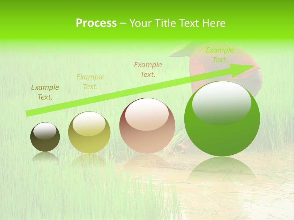 Job Thai Workplace PowerPoint Template
