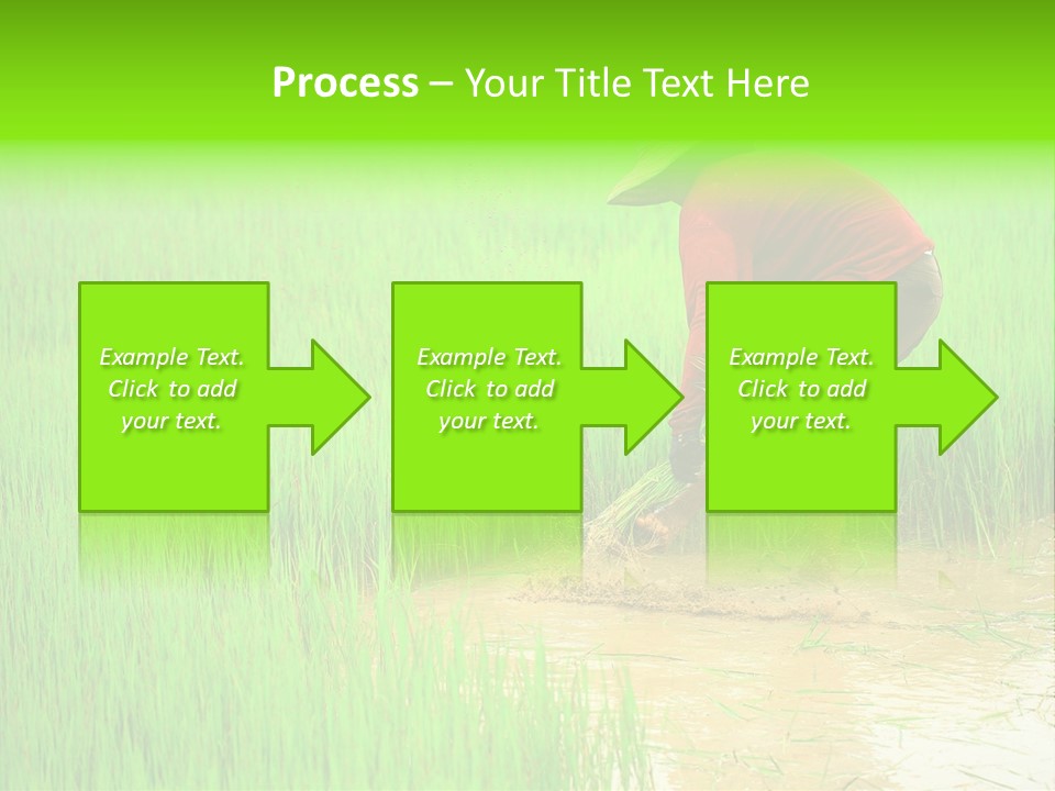 Job Thai Workplace PowerPoint Template