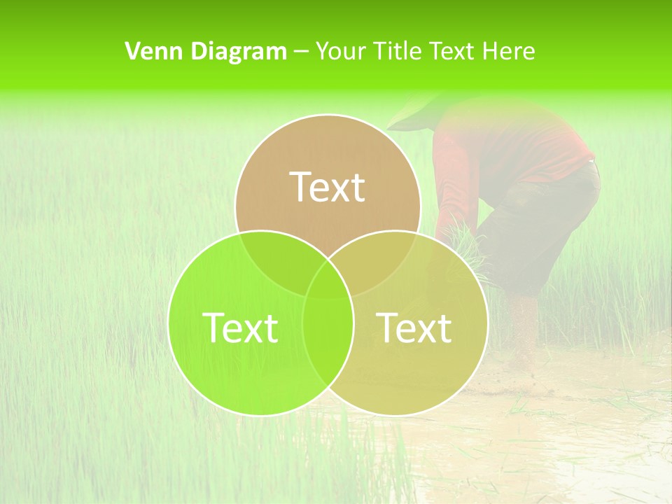 Job Thai Workplace PowerPoint Template