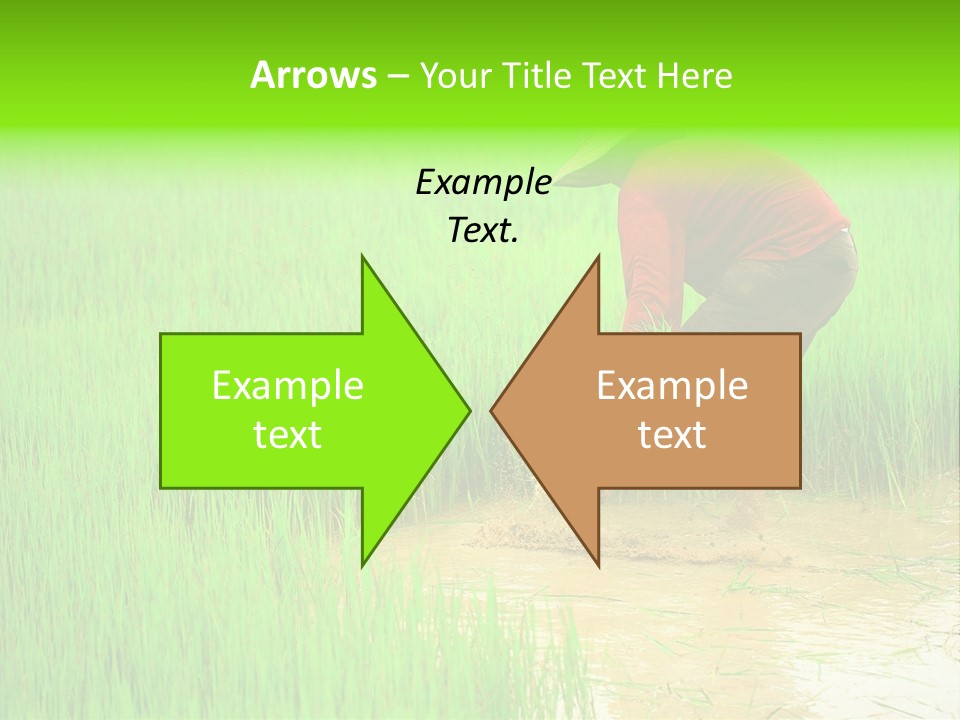 Job Thai Workplace PowerPoint Template