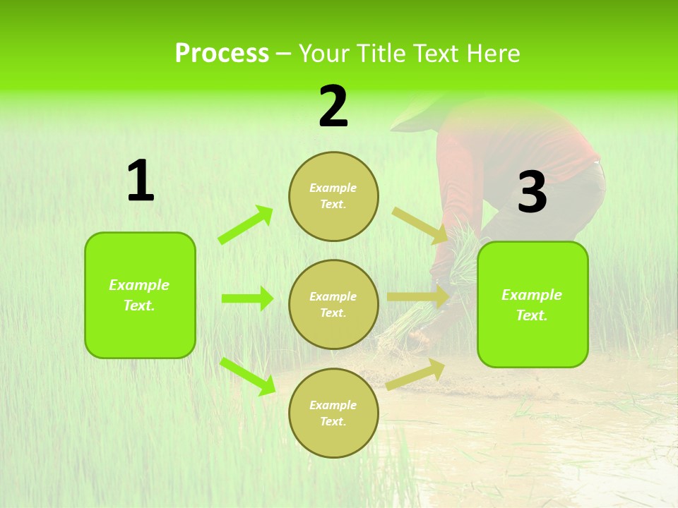 Job Thai Workplace PowerPoint Template
