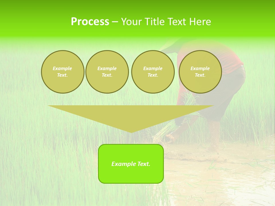 Job Thai Workplace PowerPoint Template