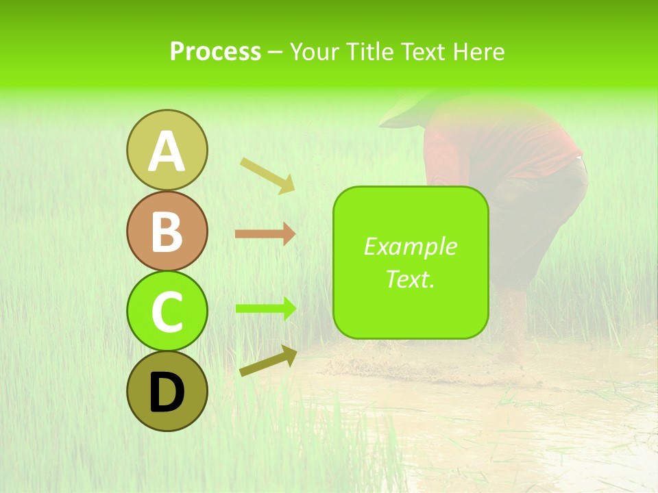 Job Thai Workplace PowerPoint Template