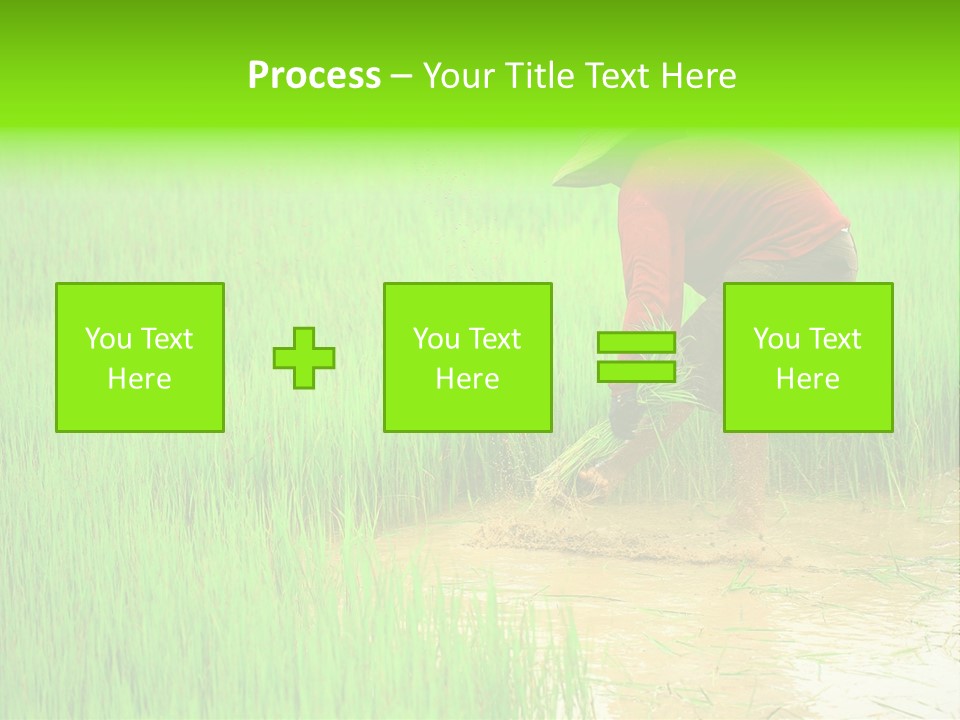 Job Thai Workplace PowerPoint Template