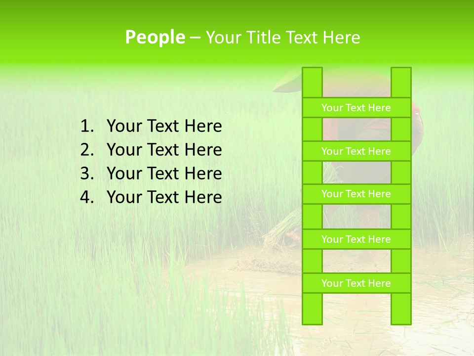 Job Thai Workplace PowerPoint Template