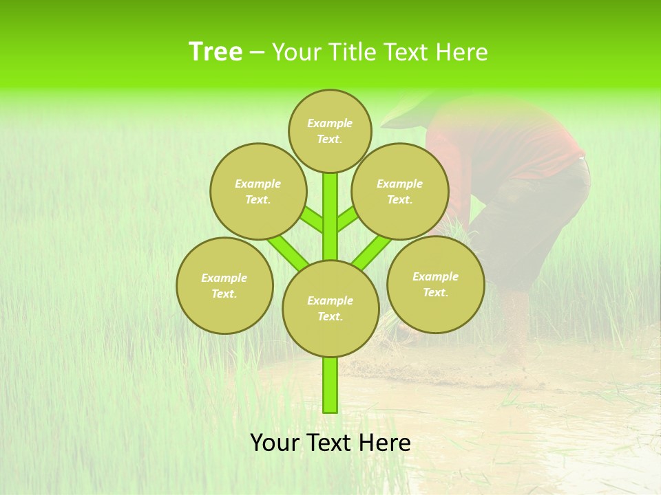 Job Thai Workplace PowerPoint Template