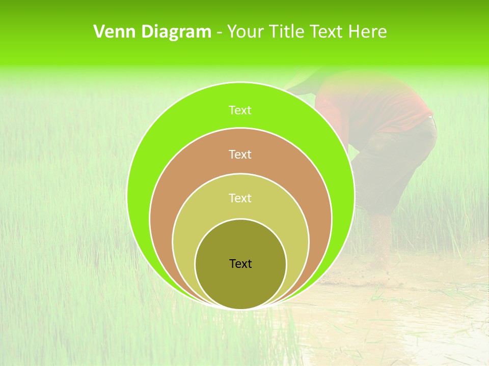 Job Thai Workplace PowerPoint Template