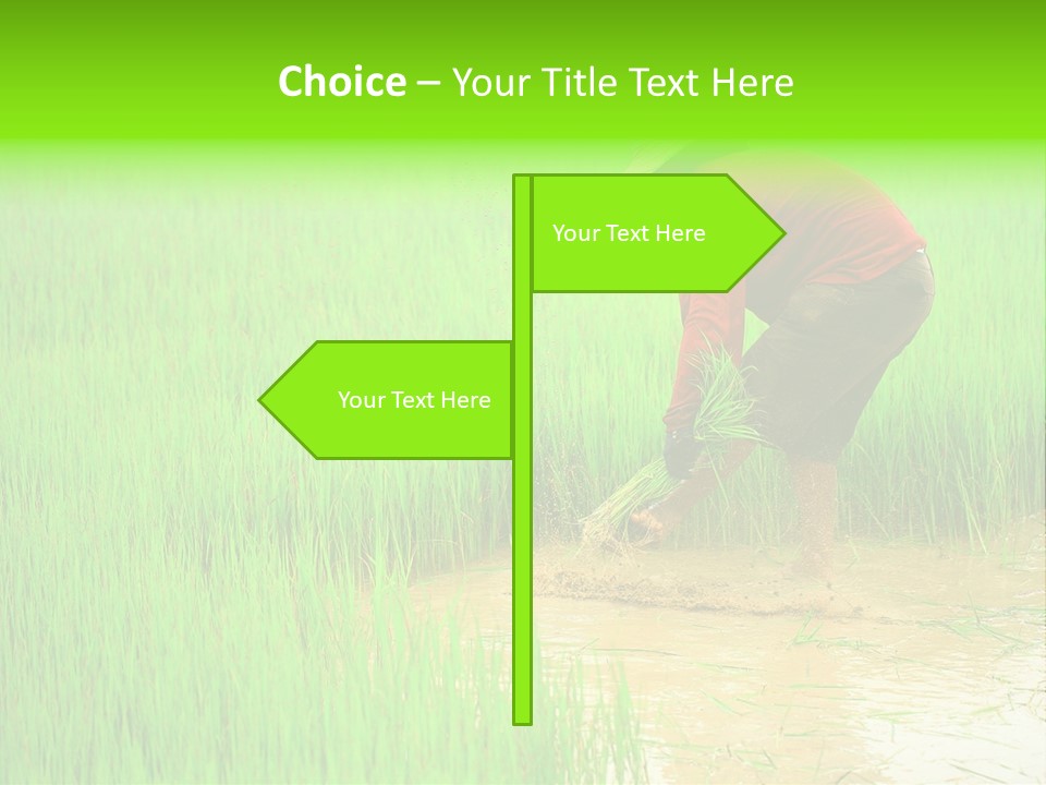 Job Thai Workplace PowerPoint Template