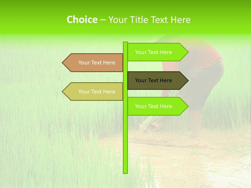 Job Thai Workplace PowerPoint Template