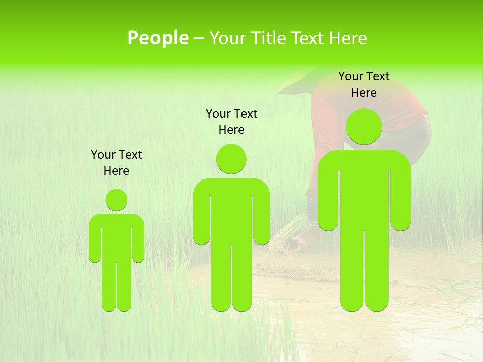 Job Thai Workplace PowerPoint Template