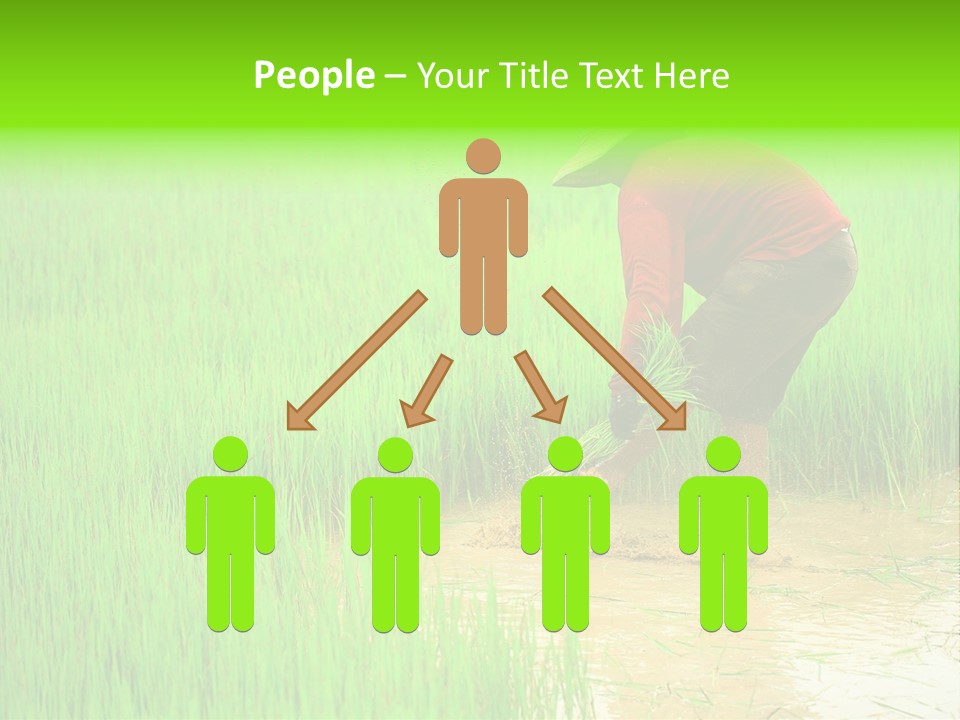 Job Thai Workplace PowerPoint Template