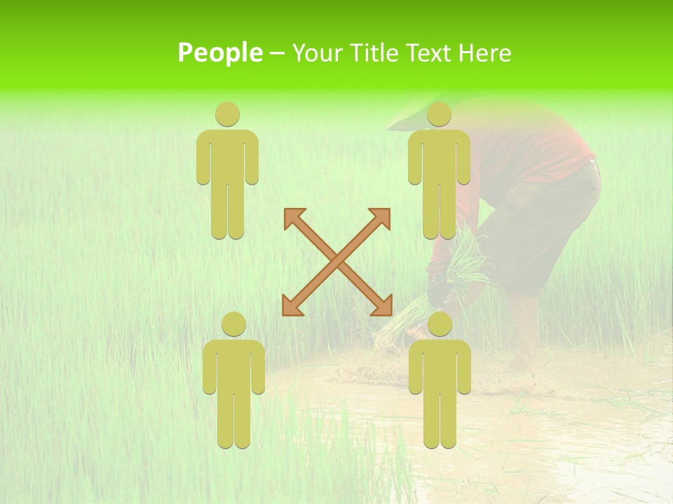 Job Thai Workplace PowerPoint Template