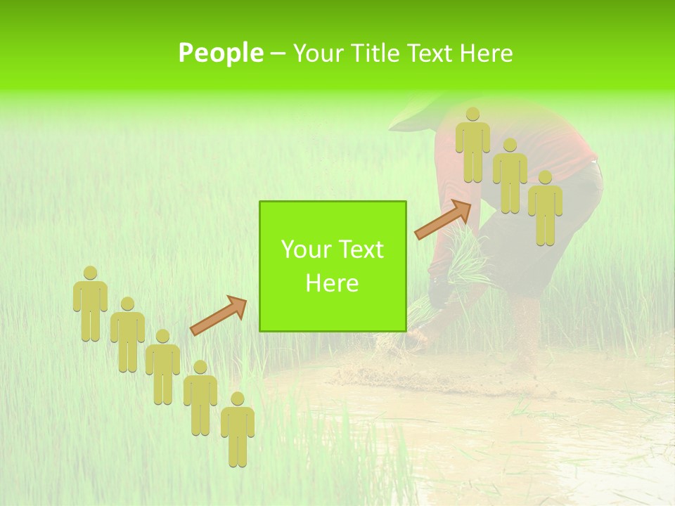 Job Thai Workplace PowerPoint Template