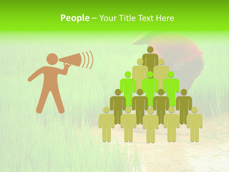 Job Thai Workplace PowerPoint Template