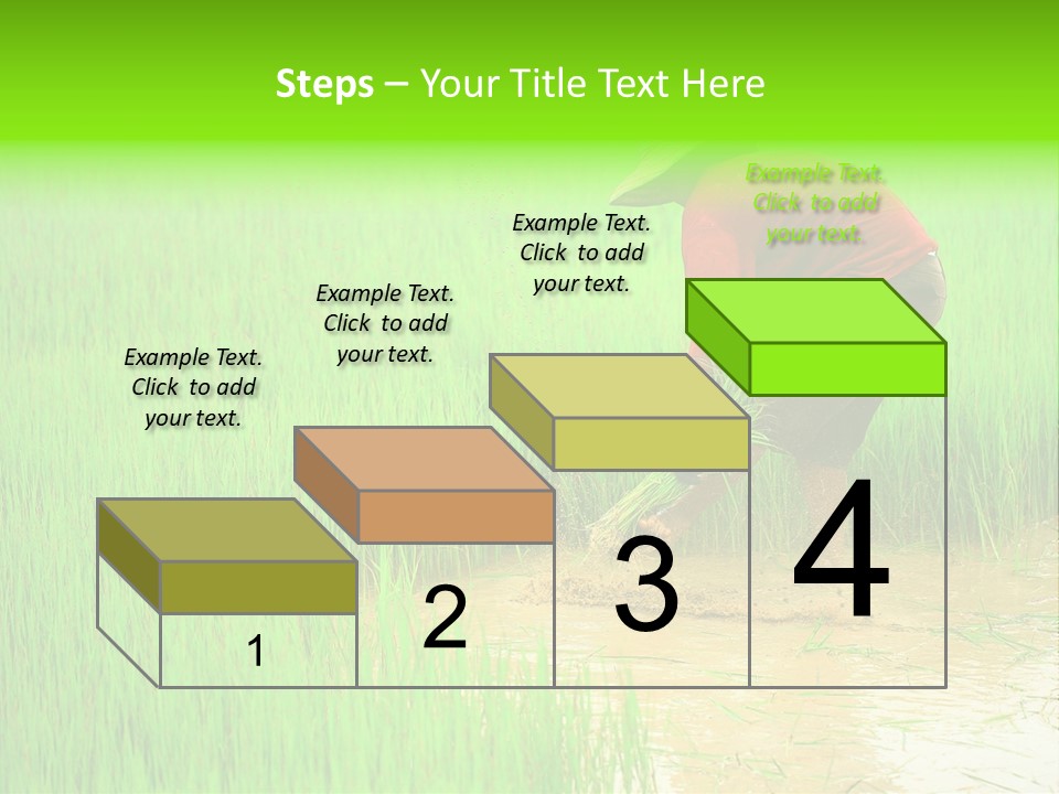 Job Thai Workplace PowerPoint Template