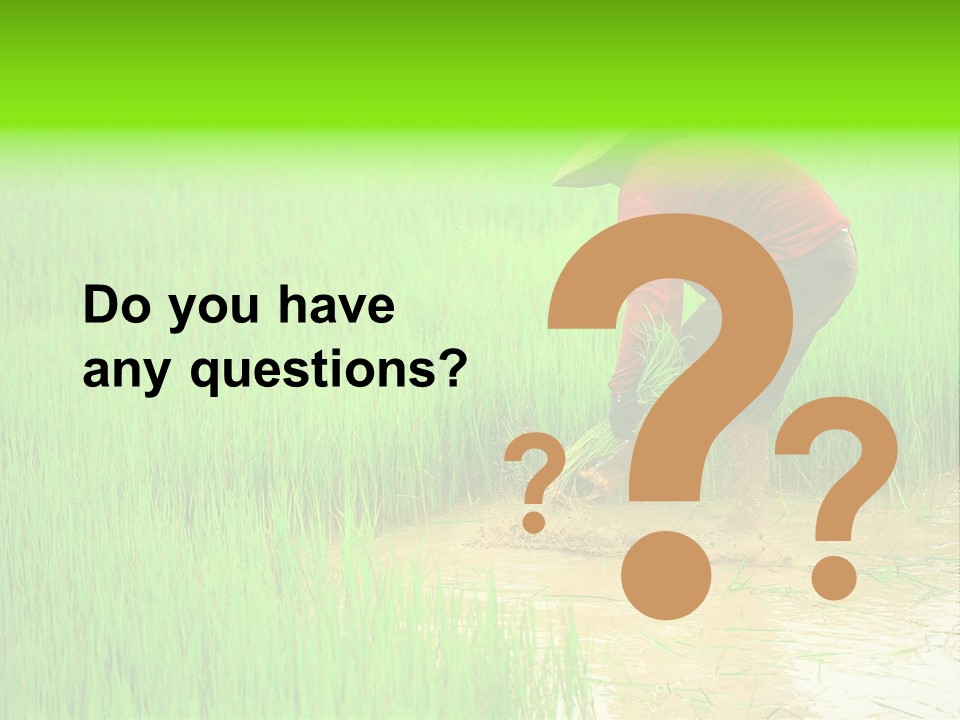 Job Thai Workplace PowerPoint Template