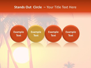 Backgrounds Over Starry PowerPoint Template