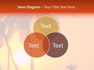 Backgrounds Over Starry PowerPoint Template