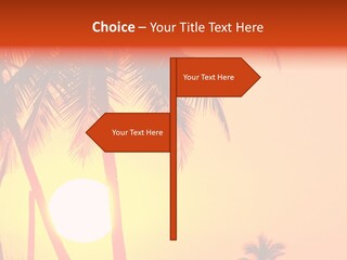 Backgrounds Over Starry PowerPoint Template