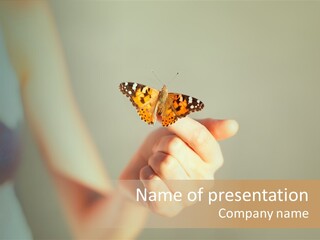 Arm Trust Concepts PowerPoint Template