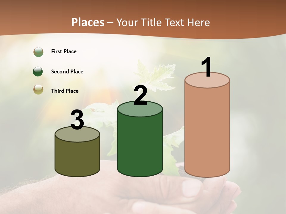 Plant Old Sprout PowerPoint Template