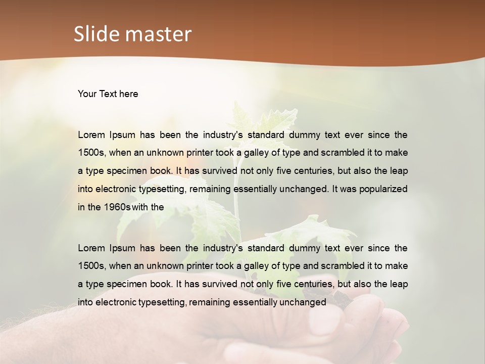 Plant Old Sprout PowerPoint Template