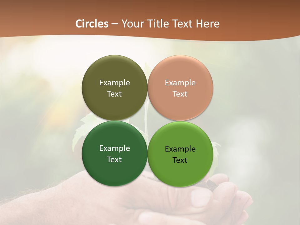 Plant Old Sprout PowerPoint Template