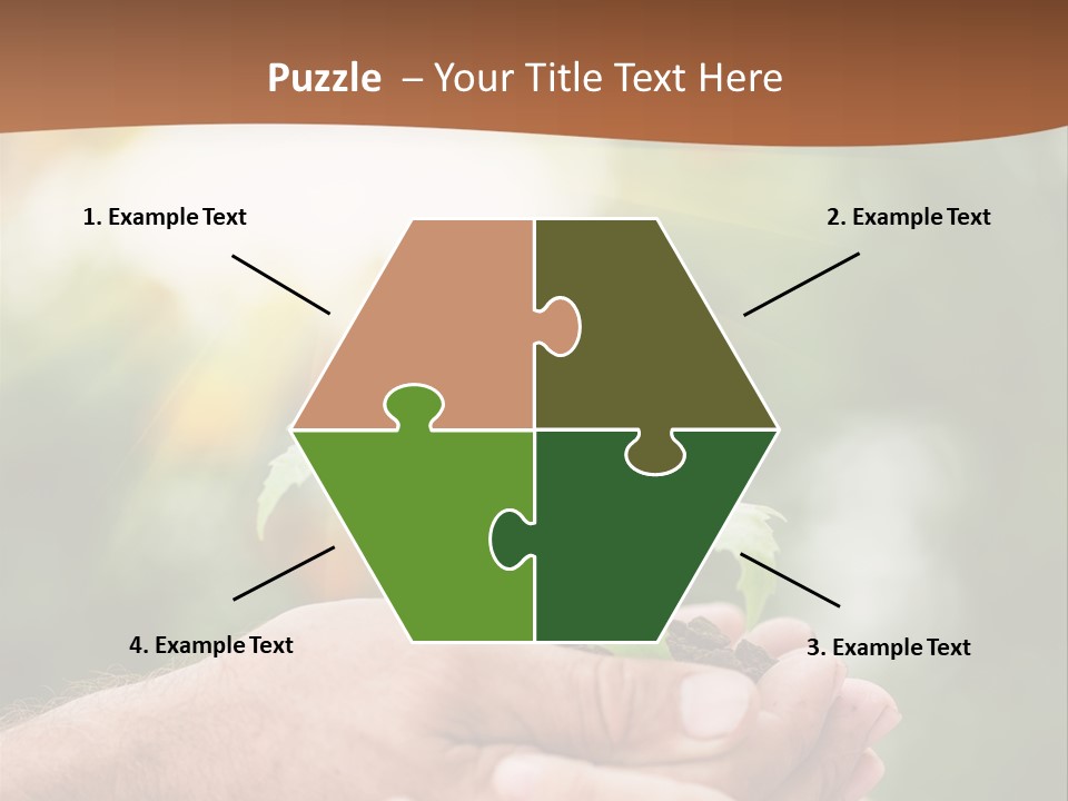 Plant Old Sprout PowerPoint Template