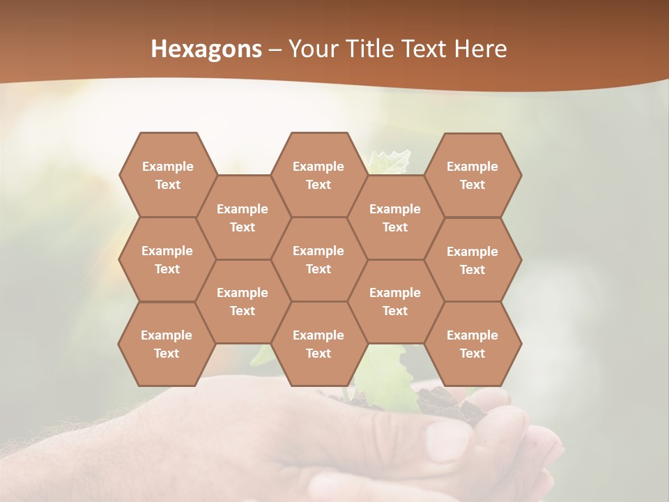 Plant Old Sprout PowerPoint Template