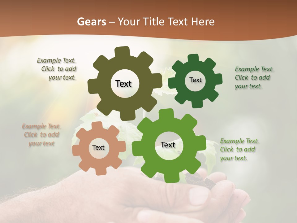 Plant Old Sprout PowerPoint Template