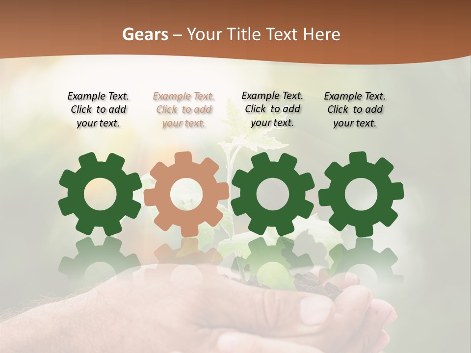 Plant Old Sprout PowerPoint Template