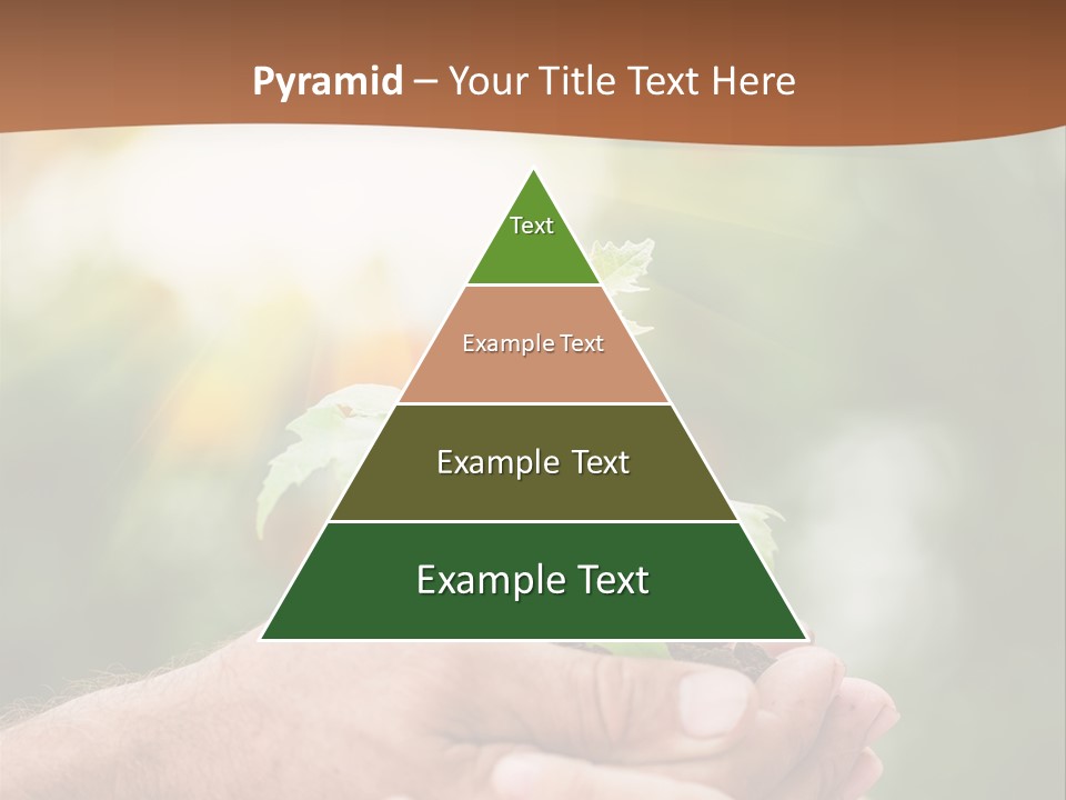 Plant Old Sprout PowerPoint Template