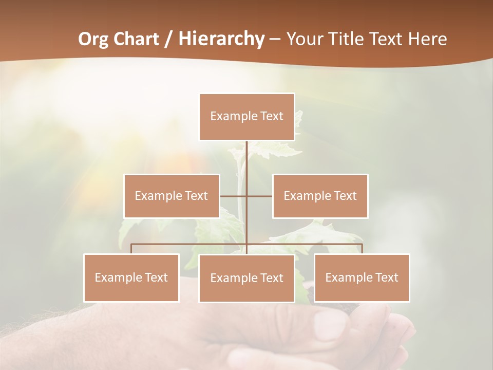 Plant Old Sprout PowerPoint Template