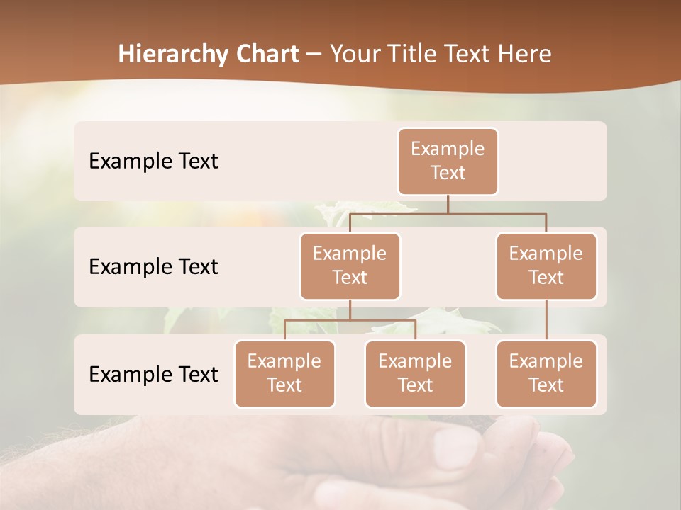 Plant Old Sprout PowerPoint Template