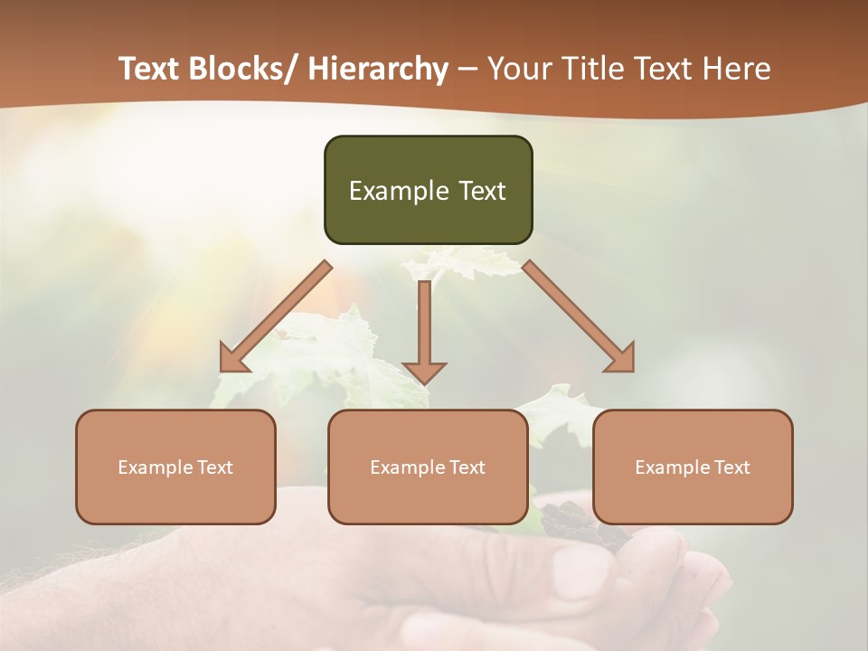 Plant Old Sprout PowerPoint Template