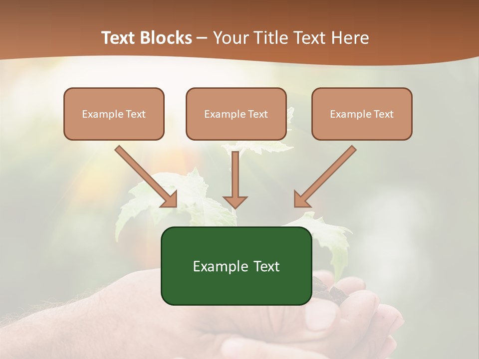 Plant Old Sprout PowerPoint Template