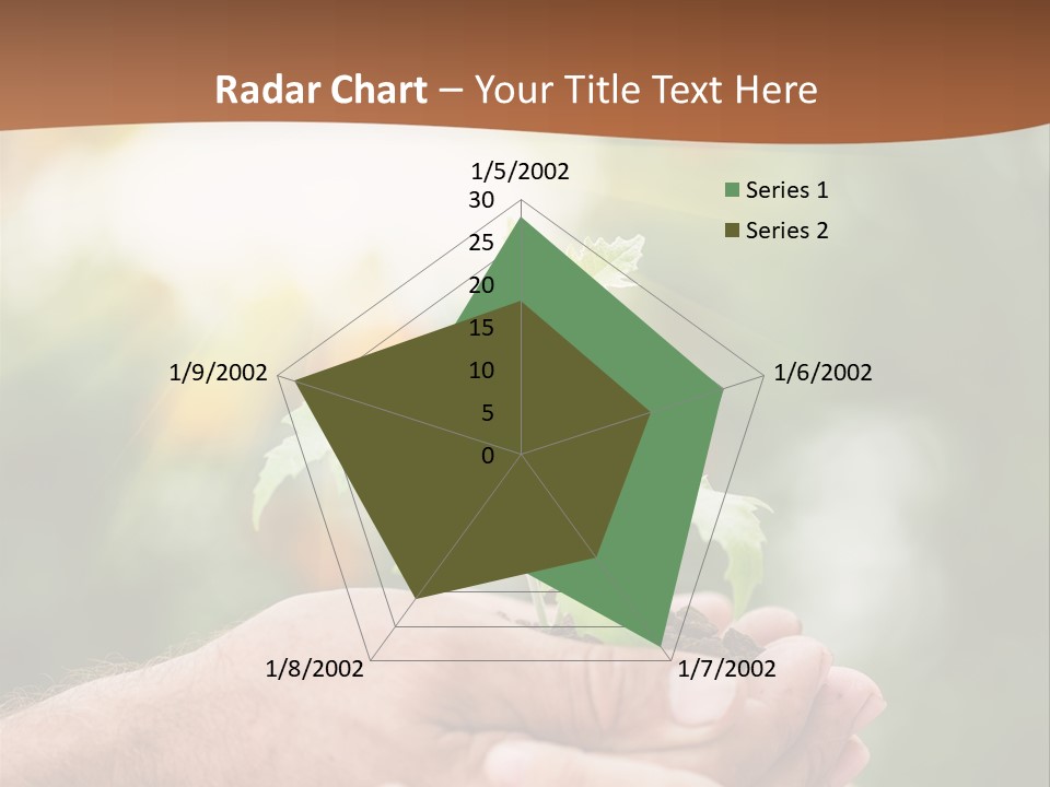 Plant Old Sprout PowerPoint Template